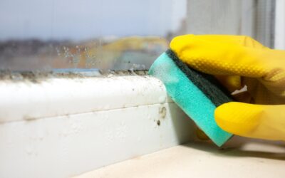 House Cleaning Tips for The Woodlands